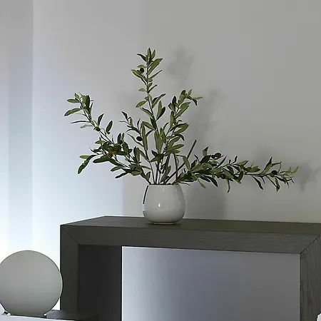 Coral Apartment *